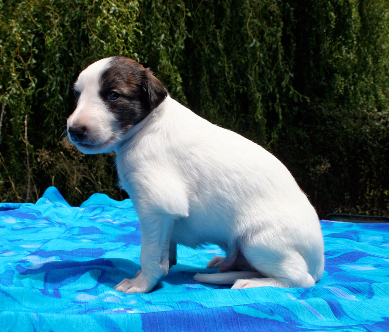 Surf Spots - Boy 1 Sit Left